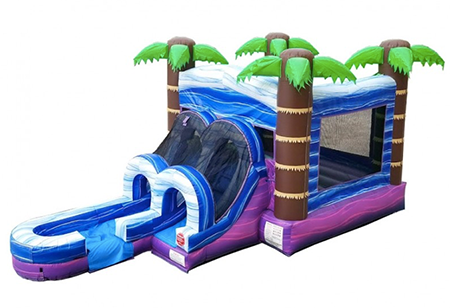 funtimeInflatablesNC-Kids-Tropical-WetDry-Combo-–-Bounce-House-Rental