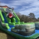 Funtime Inflatables NC - Alligator Wet and Dry Slide1