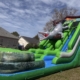Funtime Inflatables NC - Alligator Wet and Dry Slide2