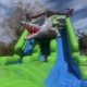 Funtime Inflatables NC - Alligator Wet and Dry Slide5