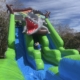 Funtime Inflatables NC - Alligator Wet and Dry Slide7